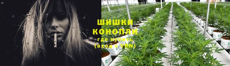 Бошки марихуана LSD WEED  купить  сайты  kraken рабочий сайт  Кирсанов 